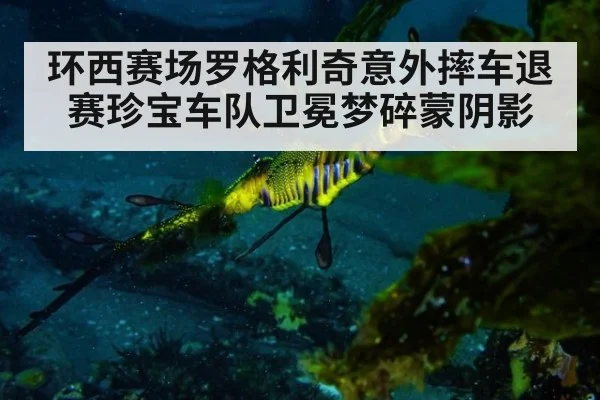 环西赛场罗格利奇意外摔车退赛珍宝车队卫冕梦碎蒙阴影
