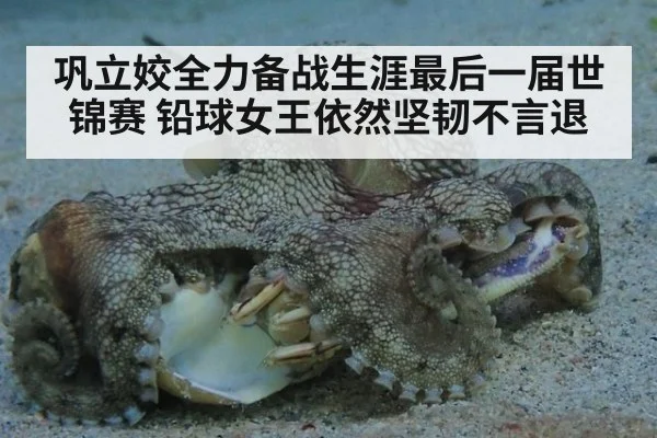 巩立姣全力备战生涯最后一届世锦赛 铅球女王依然坚韧不言退