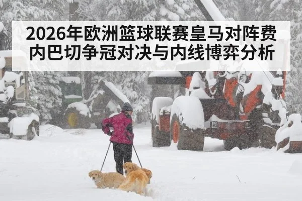 2026年欧洲篮球联赛皇马对阵费内巴切争冠对决与内线博弈分析